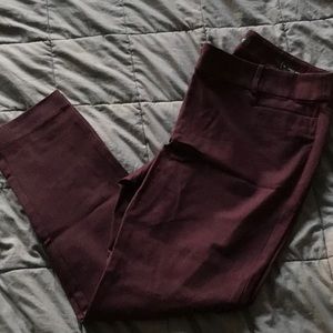 Loft skinny ankle pant curvy 10